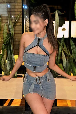 Ahmedabad Escorts Service